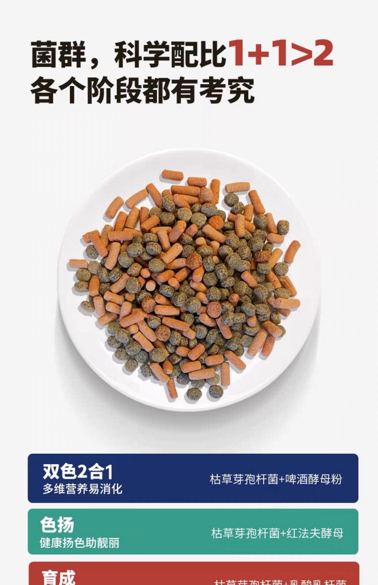 锦鲤饲料