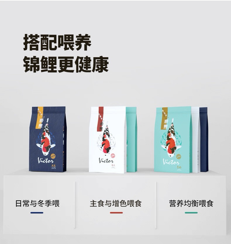 养高端纯种锦鲤选择什么饲料好？