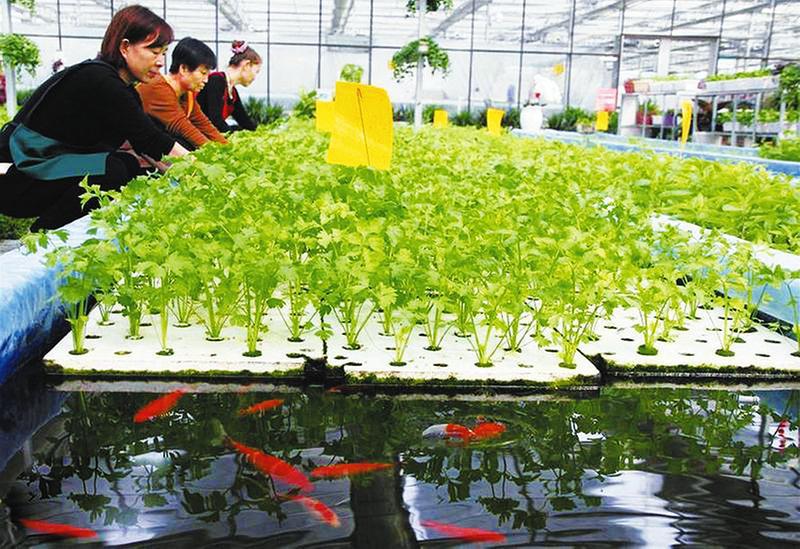  五种新型水产养殖模式哪个适合你？