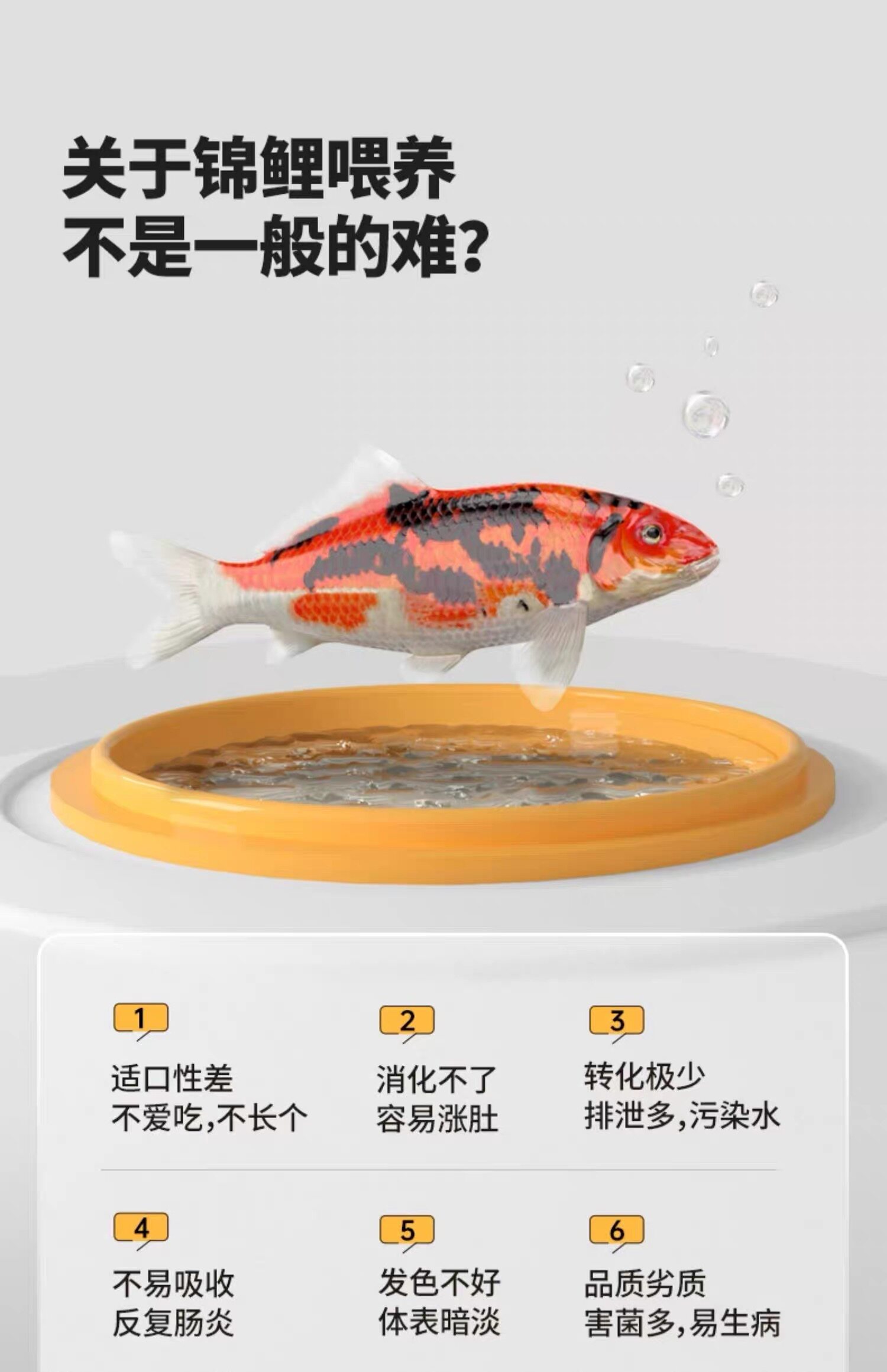 锦鲤饲料