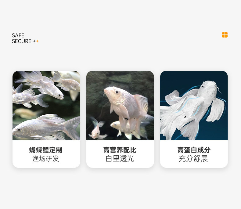 蝴蝶鲤饲料
