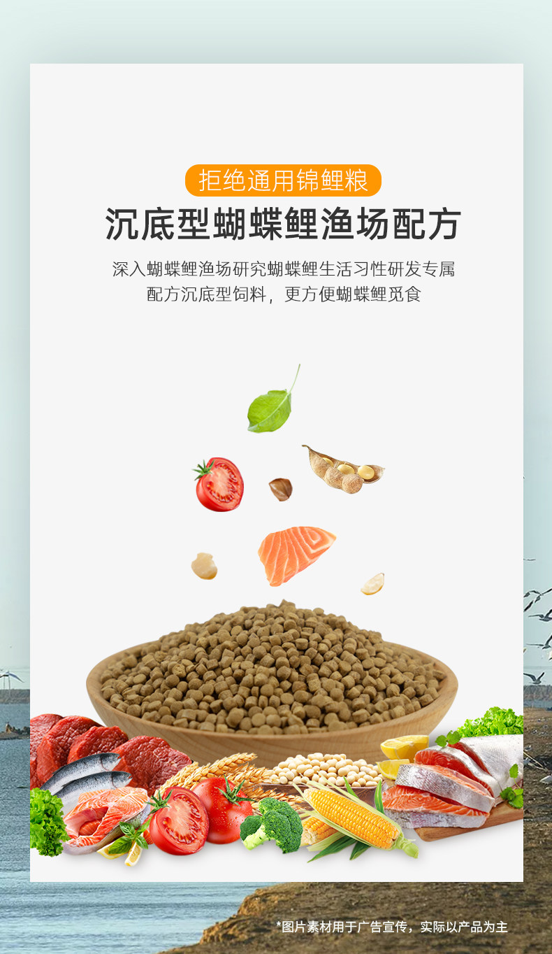 蝴蝶鲤饲料