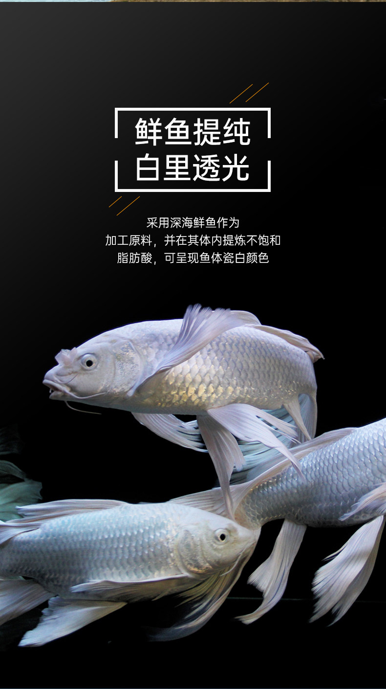 蝴蝶鲤饲料