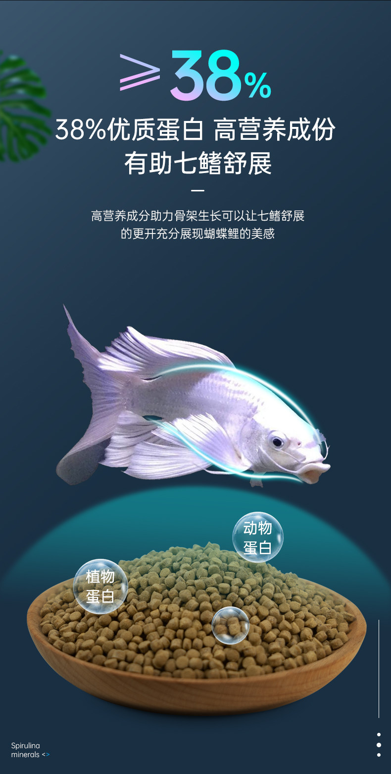 蝴蝶鲤饲料