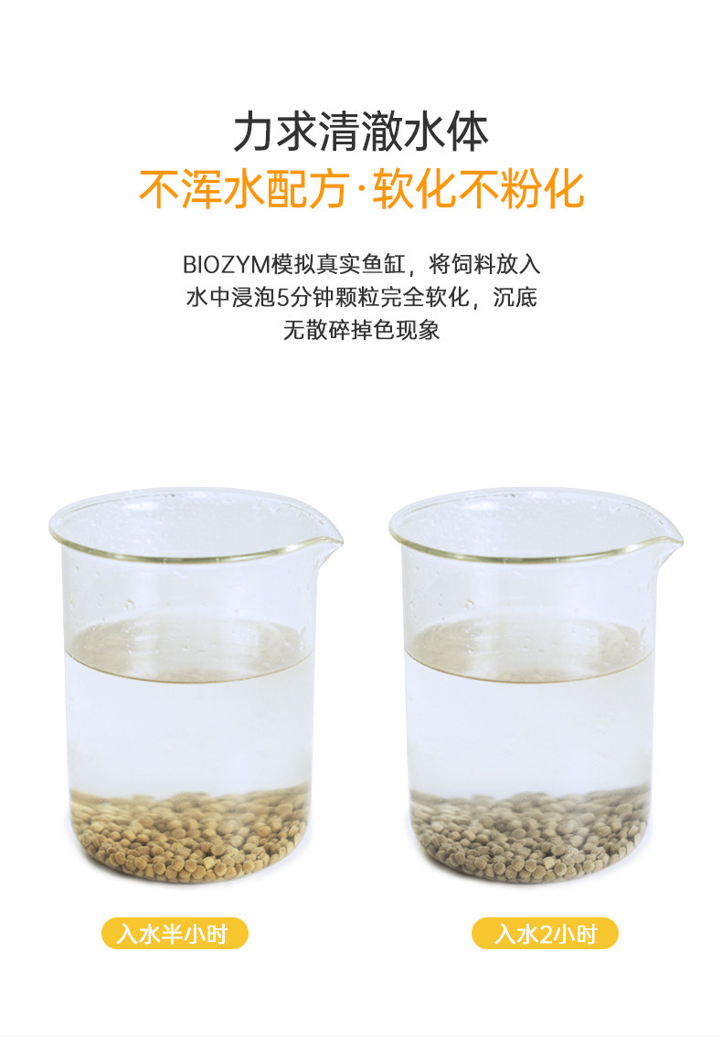 蝴蝶鲤饲料